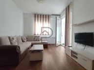 Izdavanje, stan, 25m², Ljubović, Podgorica - image 1