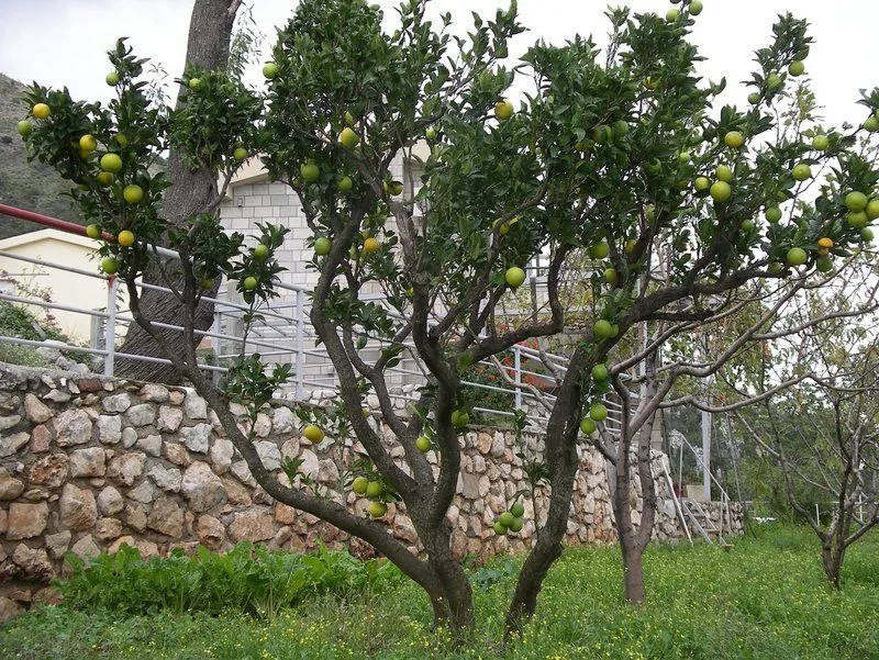 Sale, house, 160m², Reževići, Budva