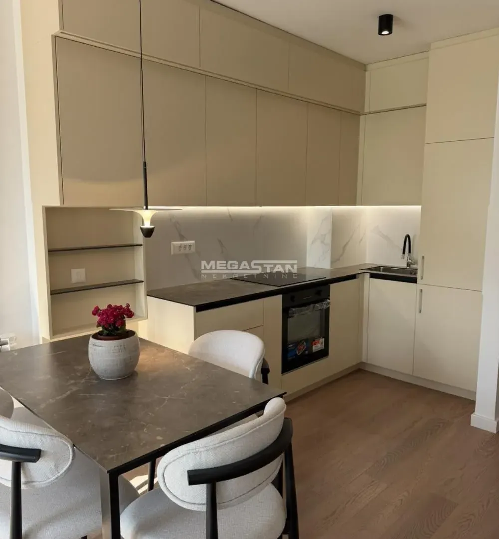 Izdavanje, dvosoban stan, 40m², Retenzija, Beograd