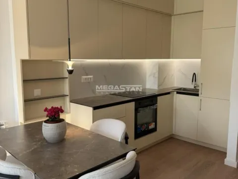 Izdavanje, dvosoban stan, 40m², Retenzija, Beograd - image 4