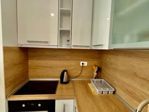 Izdavanje, jednosoban stan, 47m², City Kvart, Podgorica - image 5