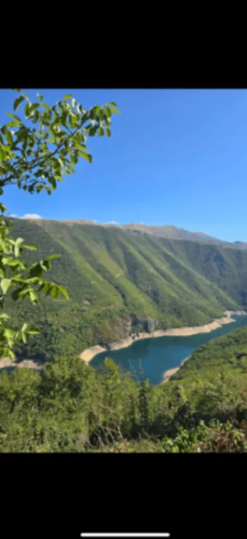 Prodaja, plac, 15000m², Donja Brezna, Plužine