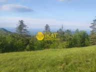 Prodaja, plac, Divčibare, Valjevo - image 4