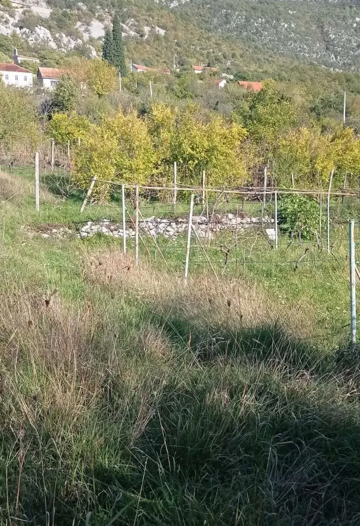Prodaja, plac, 9142m², Danilovgrad, Crna Gora