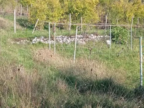 Prodaja, plac, 9142m², Danilovgrad, Crna Gora - image 4