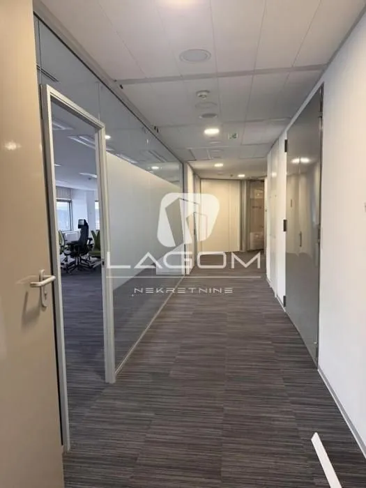 Rent, office space, 838m², Novi Beograd Blok 67, Novi Beograd Sve Podlokacije