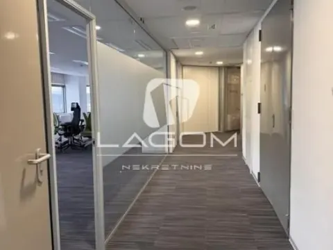 Rent, office space, 838m², Novi Beograd Blok 67, Novi Beograd Sve Podlokacije - image 6