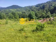 Prodaja, plac, Tara, Srbija - image 2