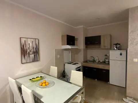 Izdavanje, jednosoban stan, 43m², Maslinjak, Budva - image 8