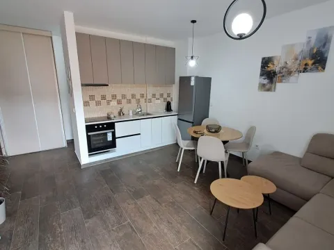Rent, one bedroom apartment, 45m², Zabjelo, Podgorica - image 3