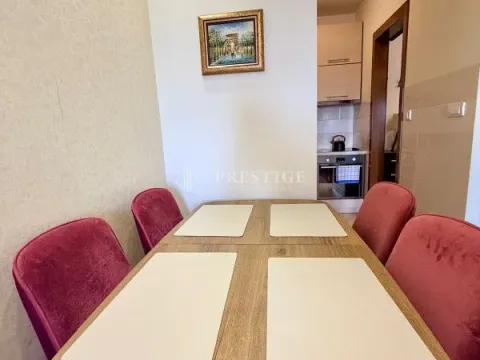 Rent, one bedroom apartment, 44m², Centar, Podgorica - image 7