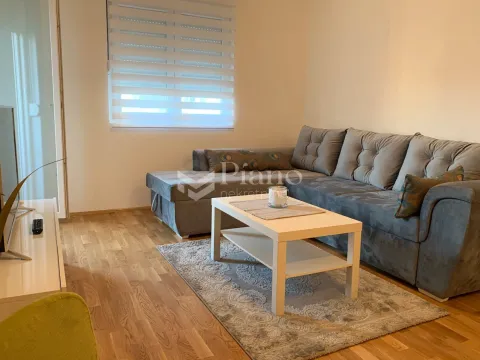 Rent, one bedroom apartment, 48m², Stari Aerodrom, Podgorica - image 2