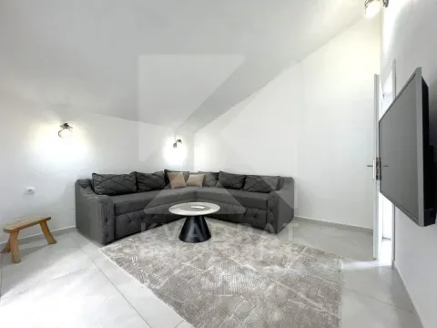 Izdavanje, jednosoban stan, 46m², Masline, Podgorica - image 2