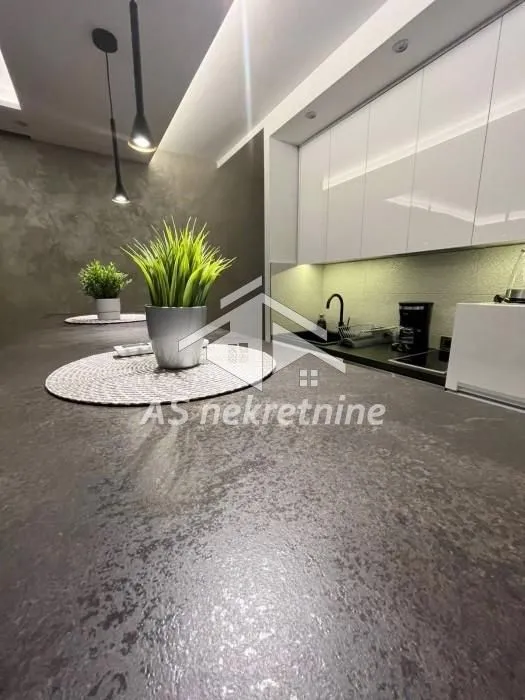 Izdavanje, dvosoban stan, 59m², Novi Beograd Blok 22, Novi Beograd Sve Podlokacije