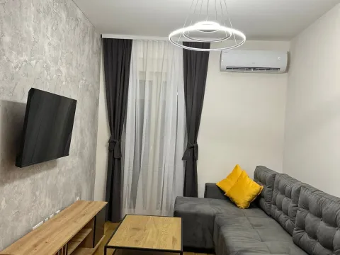 Izdavanje, stan, 40m², Central Point, Podgorica - image 9
