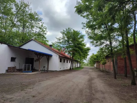 Prodaja, kuća, 228m², Kelebija, Subotica - image 12