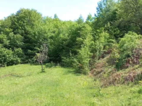 Sale, house, 180m², Bistrica, Bijelo Polje - image 12