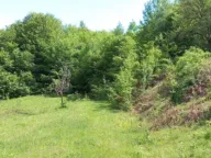 Prodaja, kuća, 180m², Bistrica, Bijelo Polje - image 12