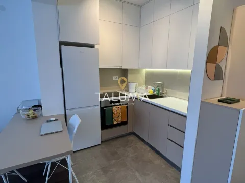 Izdavanje, jednosoban stan, 48m², Momišići, Podgorica - image 4