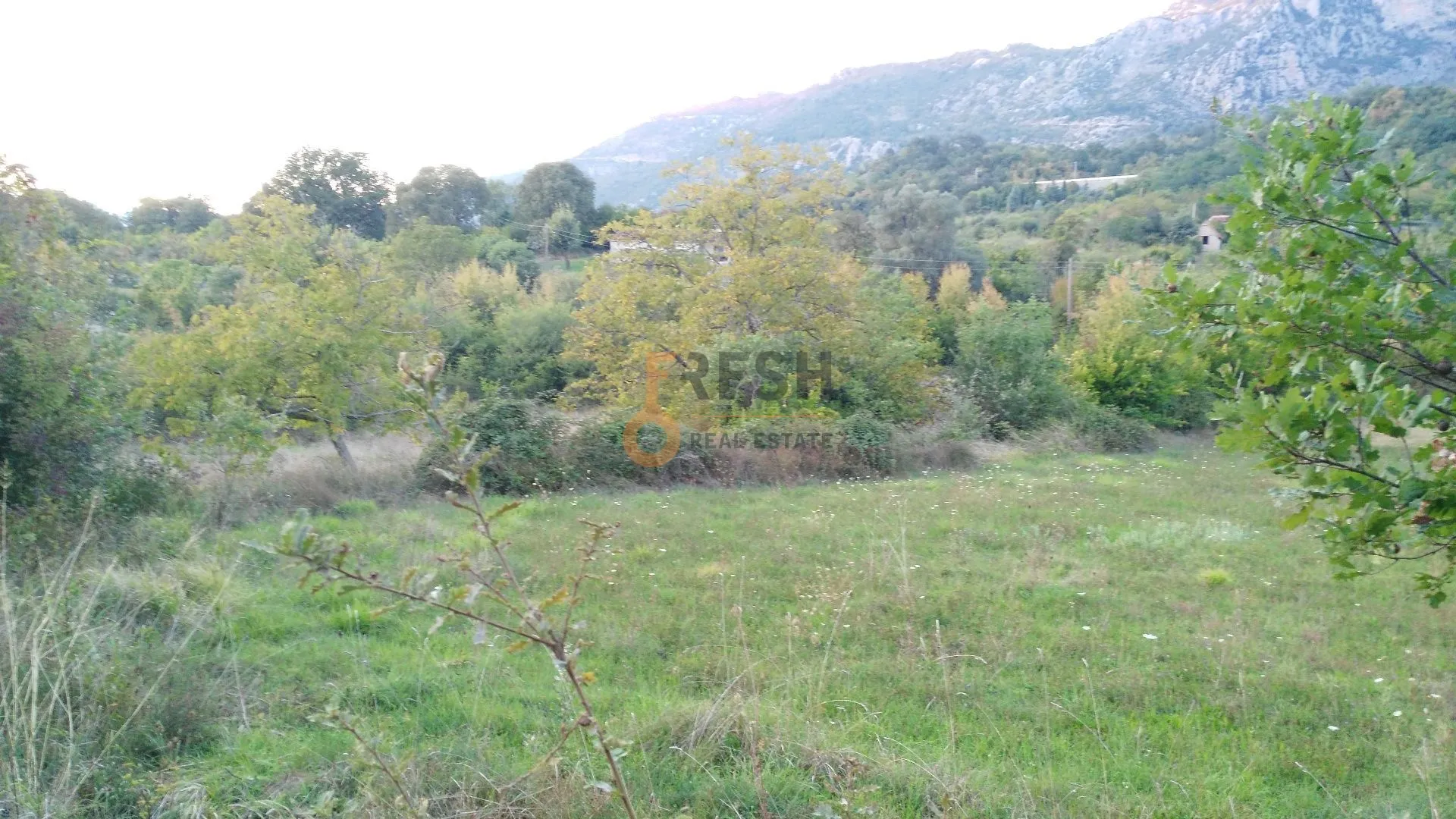 Prodaja, plac, 28000m², Danilovgrad, Crna Gora
