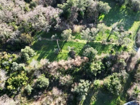 Sale, land lot, 1650m², Kavač, Kotor - image 6