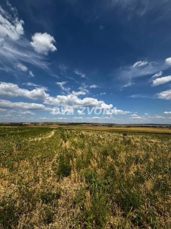 Prodaja, plac, 11510m², Čortanovci, Inđija