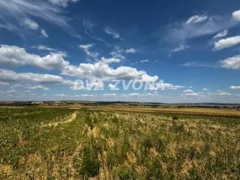 Sale, land lot, 11510m², Čortanovci, Inđija - image 6