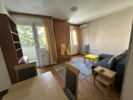 Izdavanje, jednosoban stan, 29m², Socijalno, Novi Sad Sve Podlokacije