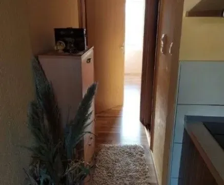 Sale, one bedroom apartment, 32m², Zagorič, Podgorica - image 3