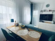 Prodaja, jednosoban stan, 30m², Veternik, Novi Sad Sve Podlokacije - image 4