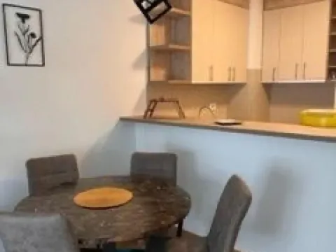 Izdavanje, jednosoban stan, 45m², Zemun Sve Podlokacije, Beograd - image 4