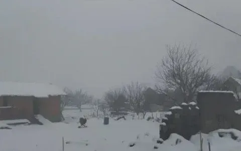 Prodaja, plac, 635m², Borča Sve Podlokacije, Beograd - image 8