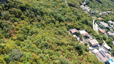 Pogled iz vazduha na okolno zelenilo i kuće u naselju. - image 4