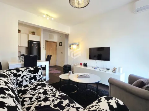 Prodaja, jednosoban stan, 48m², Vezirov Most, Podgorica - image 3