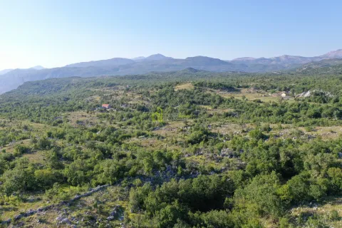 Pogled iz vazduha na brdoviti pejzaž sa šumom i planinama u pozadini. - image 5