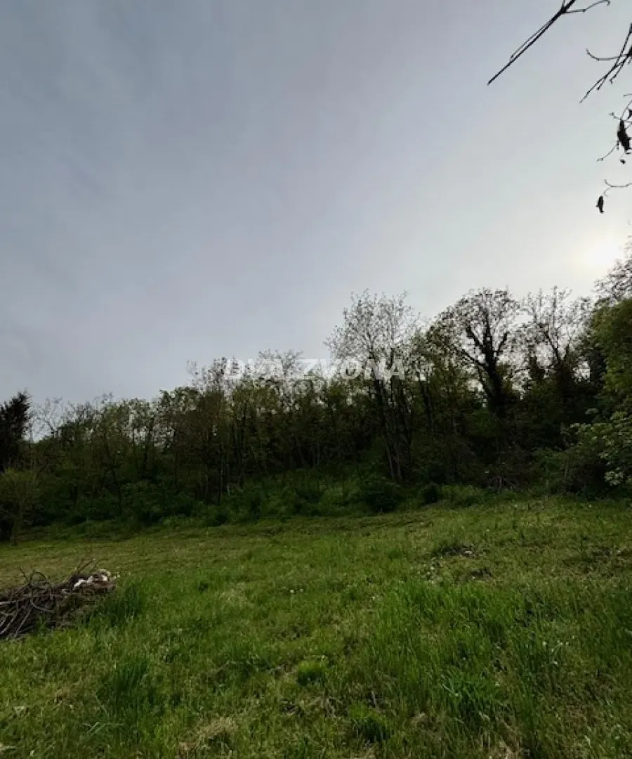 Prodaja, plac, 1900m², Čortanovci, Inđija