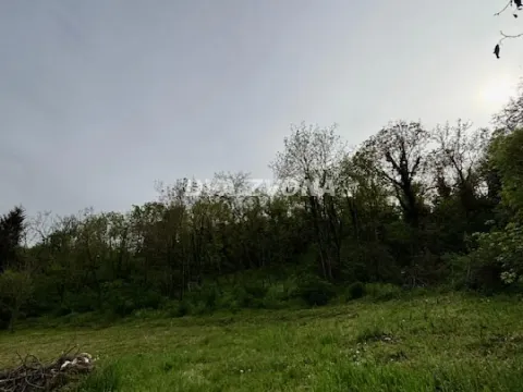 Prodaja, plac, 1900m², Čortanovci, Inđija - image 7