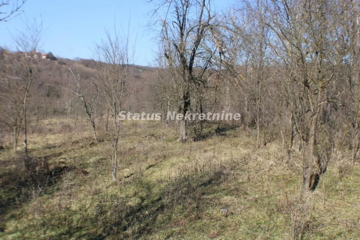 Prodaja, plac, 2493m², Banja Vrdnik, Irig