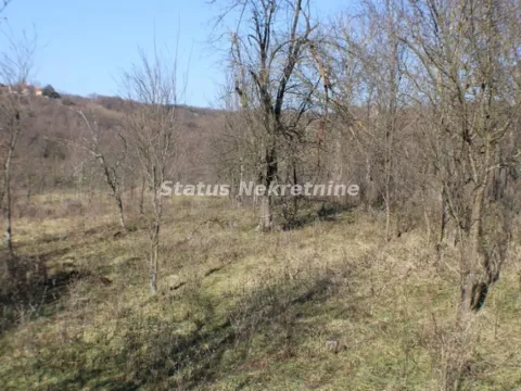 Prodaja, plac, 2400m², Irig, Srbija - image 4