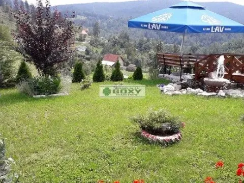 Prodaja, poslovni prostor, 307m², Nova Varoš, Srbija - image 2