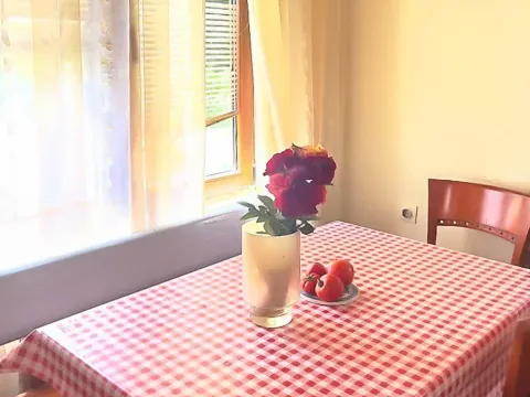 Prodaja, kuća, 100m², Danilovgrad, Crna Gora - image 11