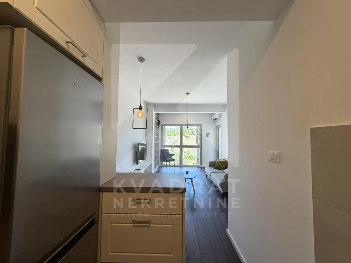 Izdavanje, jednosoban stan, 48m², Vezirov Most, Podgorica