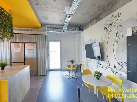 Izdavanje, poslovni prostor, 40m², Savski Venac, Beograd - image 13