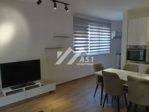 Izdavanje, dvosoban stan, 45m², Adice, Novi Sad Sve Podlokacije - image 3
