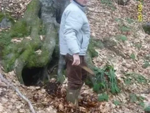 Prodaja, plac, 39m², Brzeće, Kopaonik - image 6