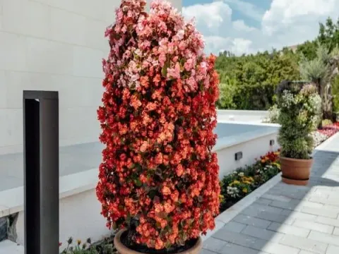 Prodaja, kuća, 318m², Reževići, Budva - image 40