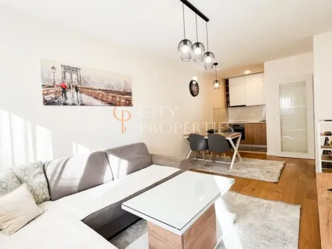 Izdavanje, stan, 45m², Central Point, Podgorica - image 9