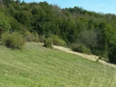 Prodaja, plac, 989m², Zlatibor, Srbija - image 11