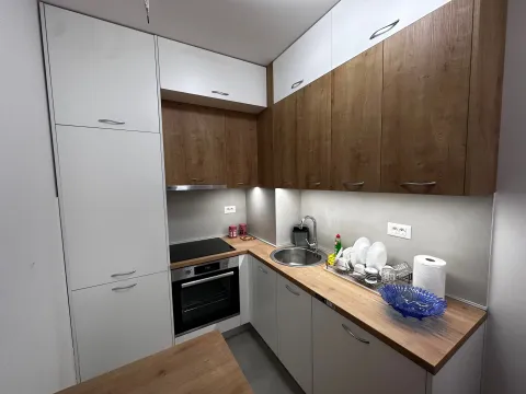 Rent, one bedroom apartment, 45m², Stari Aerodrom, Podgorica - image 3