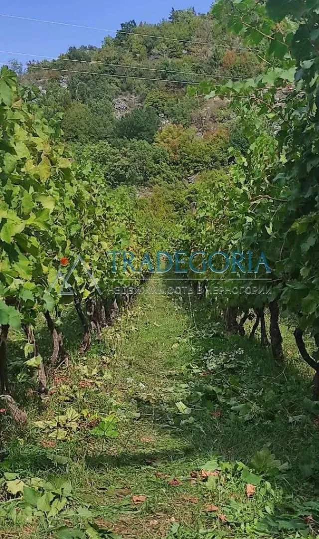 Prodaja, kuća, 170m², Podgorica, Crna Gora